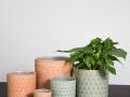 Cache-pot-intérieur-JASMINUM