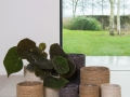 cassidy-cache-pot-collection-permanente