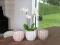 riana-cache-pot-collection-permanente
