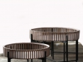 PD490155wit