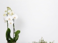 Gamme-pot-printemps-ete-2021