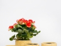 Gamme-pot-printemps-ete-2021